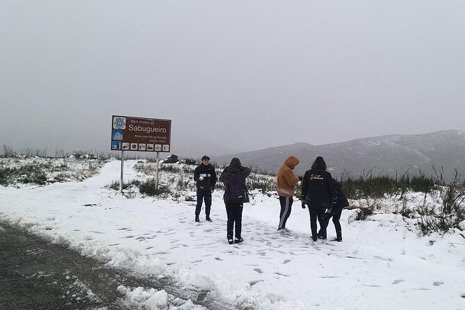 Private Tour through Serra da Estrela Park and its famous cheese - In The Sum Up