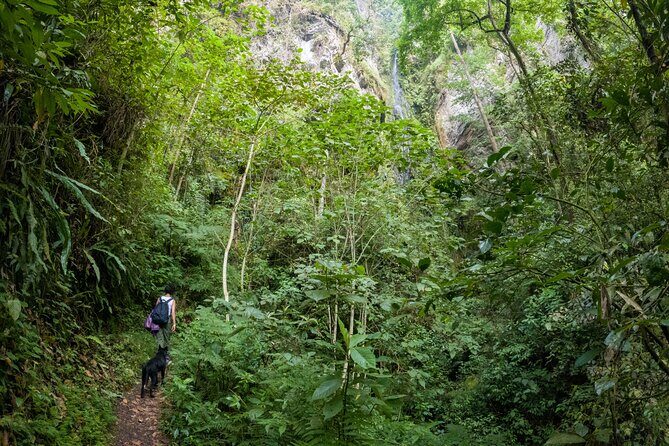 Private Tour through the Chicaque Natural Park and Forest of Fog - Final Thoughts
