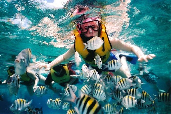 Private Tour: Tioman Island (Sribuat) Reef Snorkel & Summit Hike from Singapore - A Private Day Trip to Tioman Islands Sribuat Reef and Beyond