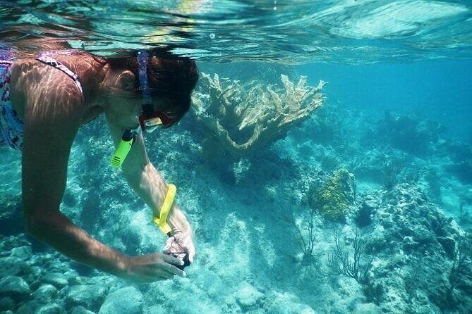 Private Tour: Tioman Island (Sribuat) Reef Snorkel & Summit Hike from Singapore - Who will love this tour?