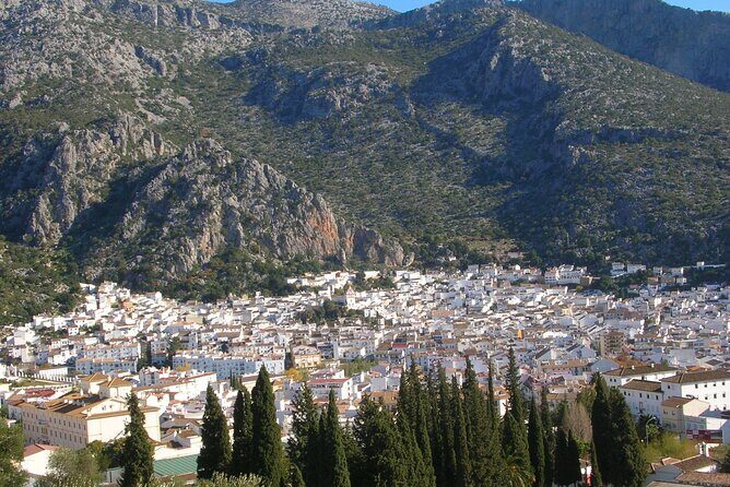 Private Tour to Arcos de la frontera, El Bosque and Ubrique from Cadiz - A Detailed Look at the Tour Experience