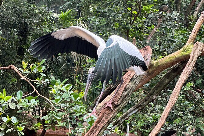 Private tour to Argentine and Brazilian Falls - FAQ