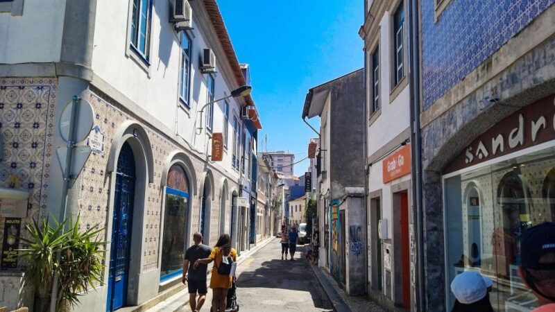 Private Tour to Aveiro and Costa Nova unique striped houses - Why This Tour Offers Great Value