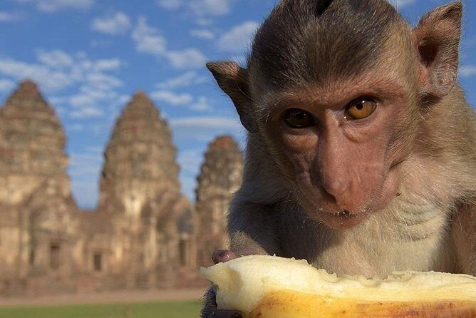 Private tour to Ayutthaya and Lopburi Monkey Temple (from Bangkok) - Why Travelers Love This Tour