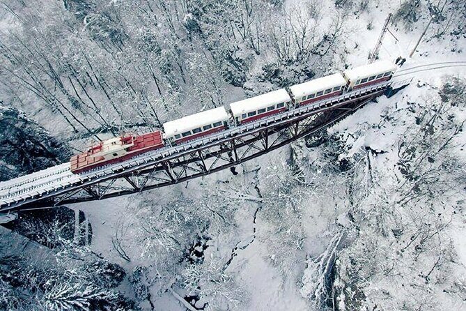 Private Tour to Bakuriani Ski Resort and the Legendary Borjomi - A Detailed Look at the Tour Experience
