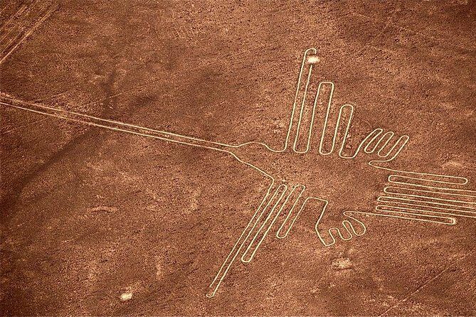 Private tour to Ballestas & Nazca - Key Points