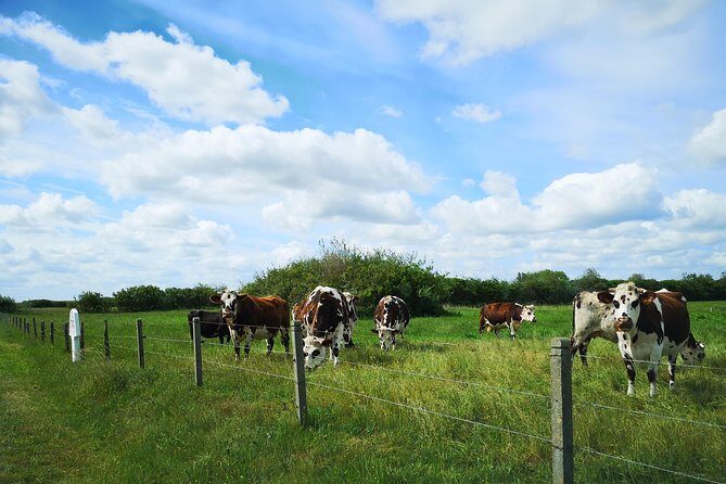 Private Tour to Bayeux, Honfleur and Pays d' Auge from Caen - Final Thoughts: Is This Tour Worth It?