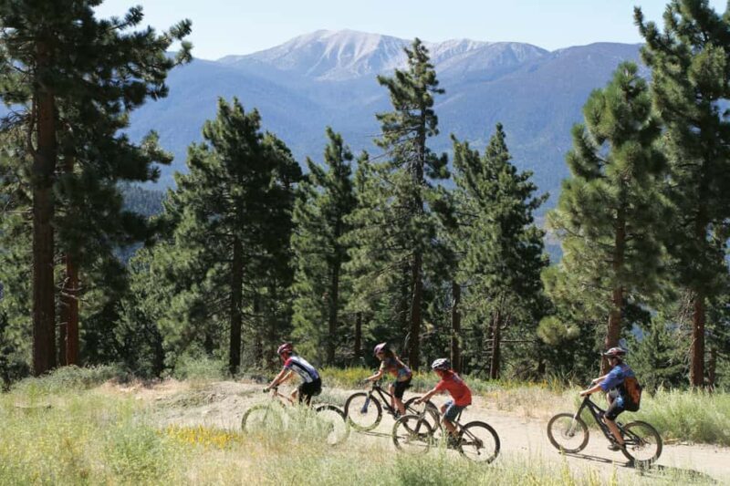 Private tour to Big Bear Lake and Lake Arrowhead from LA - Final Thoughts