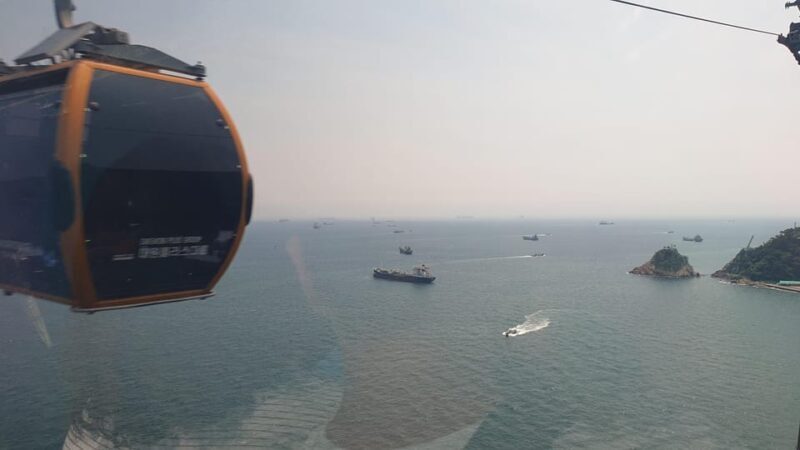 Private tour to Busan, the Marseille of Korea - Why This Tour Offers Great Value