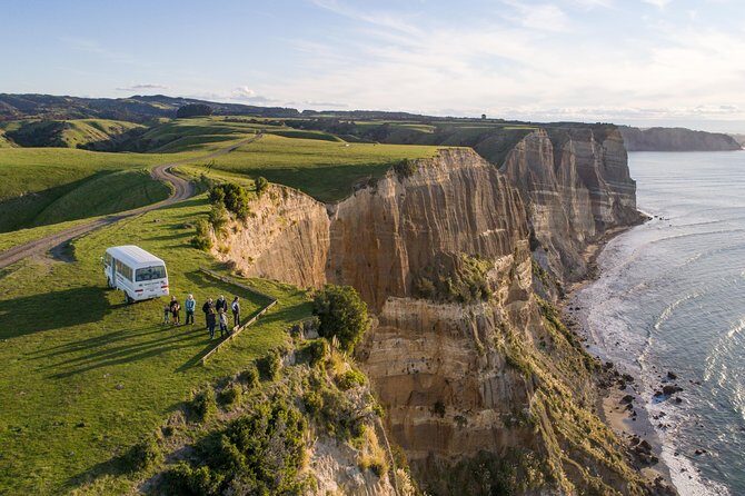 Private tour to Cape Kidnappers Gannet Colony - An Intimate Encounter with a Bird Colony