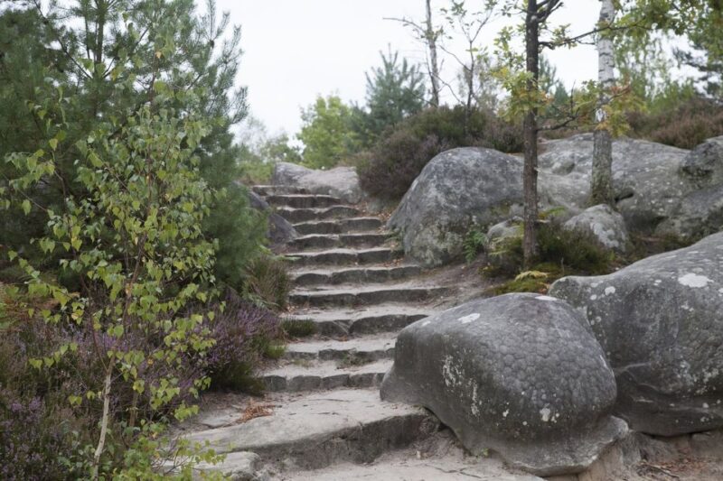 Private tour to Chateaux of Fontainebleau from Paris - An In-Depth Look at the Fontainebleau Experience