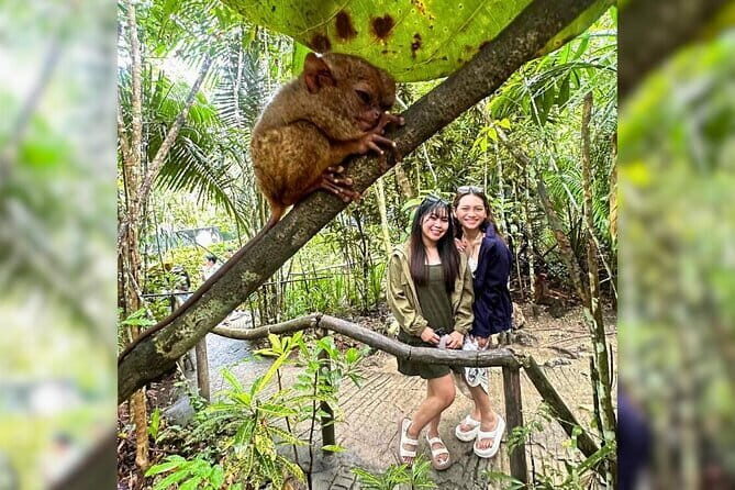 Private Tour to Chocolate Hills, Tarsiers, & River Lunch in Bohol - Authentic Experiences and Practical Insights