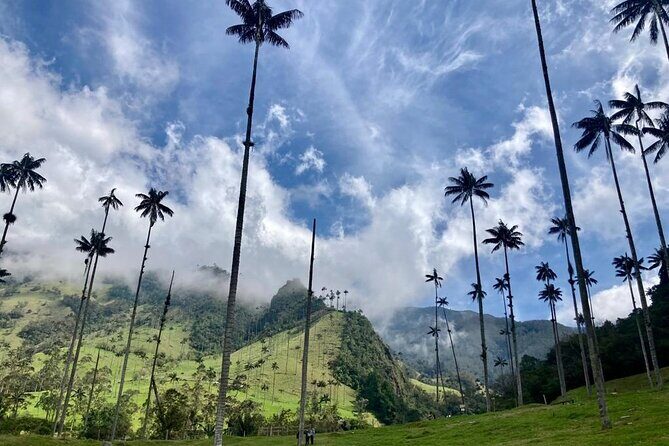 Private Tour to Cocora Valley and Salento with Transportation Included - Key Points