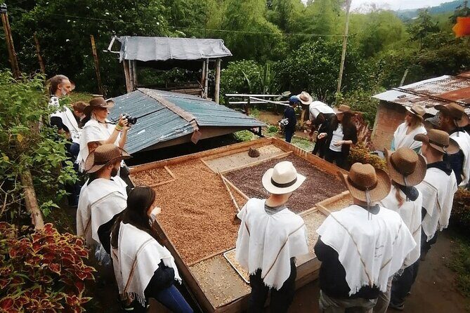 Private Tour to Coffee Farm (farm of your choice) - Discover the Authentic Coffee Experience in Pereira