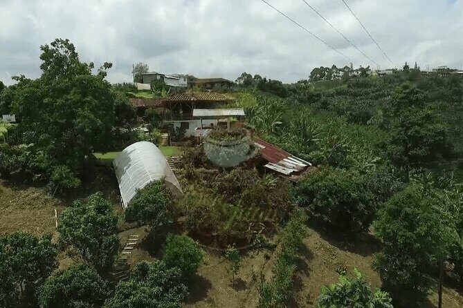 Private Tour to Coffee Farm (farm of your choice) - Who Will Appreciate This Tour?