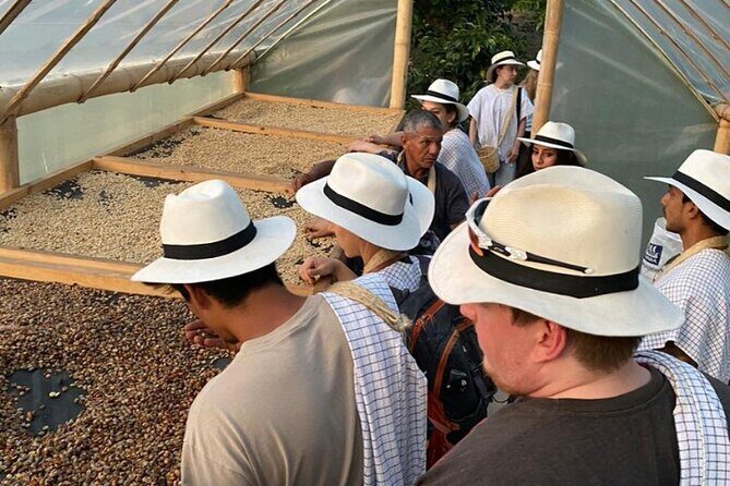 Private Tour to Coffee Farm (farm of your choice) - Final Thoughts