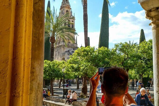 Private tour to Córdoba from Seville (several options) - The Itinerary in Detail