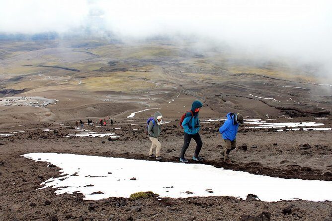 Private Tour to Cotopaxi National Park + Rose Plantation - Discovering Quito’s Natural Wonders: A Close-Up of Cotopaxi and Beyond