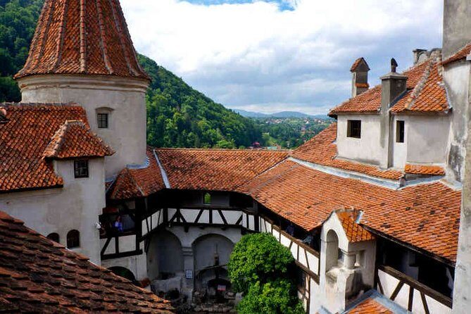Private Tour to Dracula's Castle, Peles Castle from Bucharest - An In-Depth Look at the Tour Experience