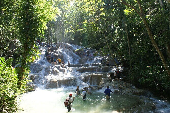 Private Tour to Dunns River and Horseback Riding with Local Guide - An Authentic Jamaican Adventure: Dunns River and Horseback Riding Private Tour