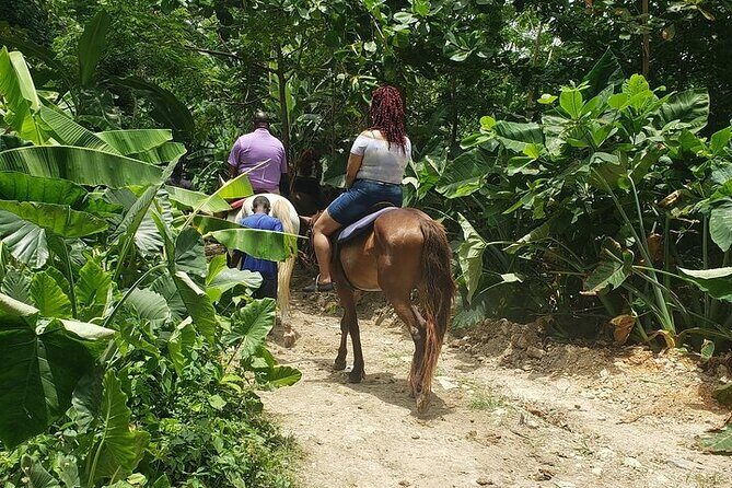 Private Tour to Dunns River and Horseback Riding with Local Guide - Key Points