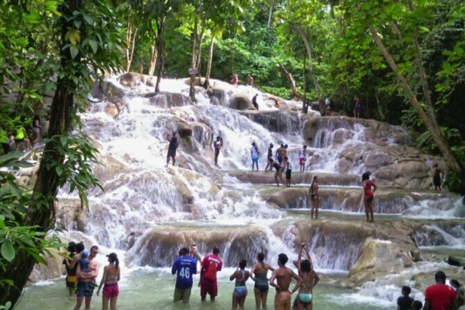 Private Tour to Dunns River and Horseback Riding with Local Guide - Why This Tour Offers Great Value