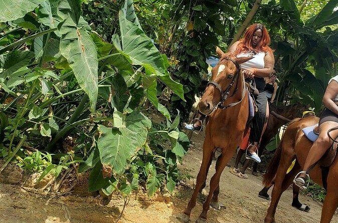Private Tour to Dunns River and Horseback Riding with Local Guide - FAQ