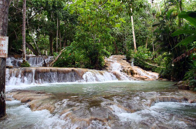 Private Tour to Dunn's River Falls From Ocho Rios - Who Should Consider This Tour?