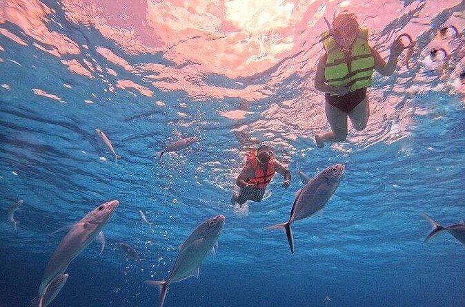 Private Tour to El Cielo and El Cielito and Palancar Cozumel - FAQ