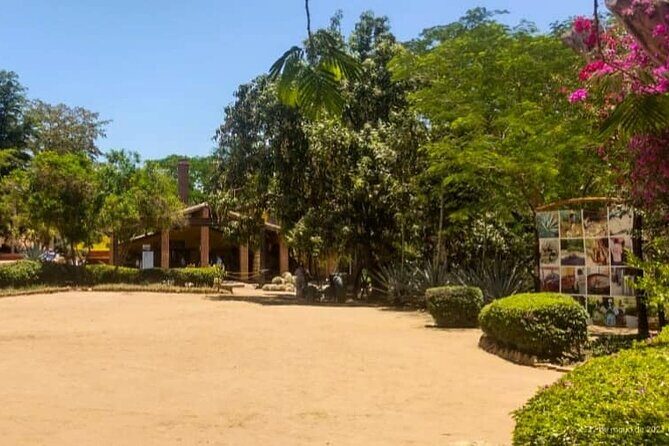 Private Tour to El Quelite Village and Tequila Distillery from Mazatlan - Authenticity and Personal Touches