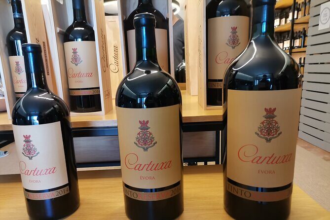 Private Tour to Evora with wine tasting at the Cartuxa Winery - The Practicalities: What You Need to Know