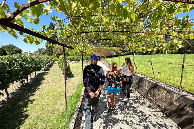 Private tour to Fatima, Nazare and Obidos - Who Will Love This Tour?