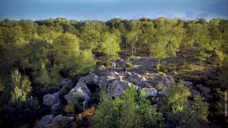 Private tour to Fontainebleau from Paris. Tickets included! - Why Choose This Tour?