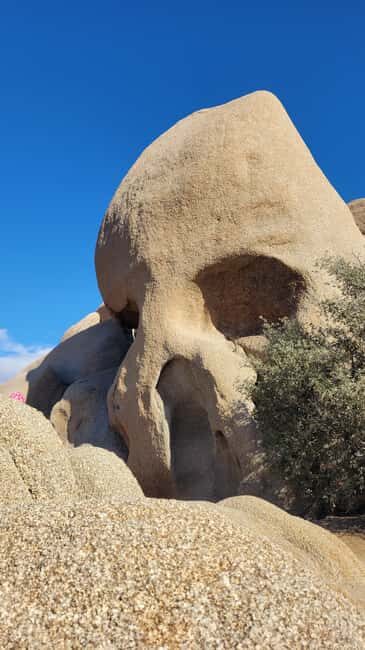 Private tour to Joshua Tree National park from Los Angeles - A Closer Look at the Itinerary
