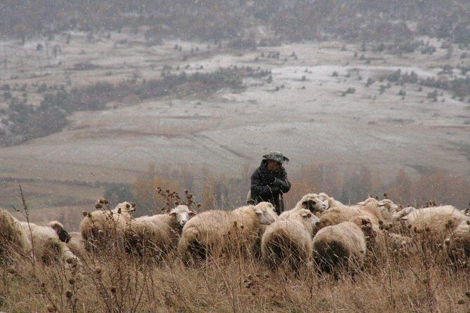 Private Tour to Kazbegi from Tbilisi - Exploring Georgia’s High Caucasus: A Private Kazbegi Day Tour