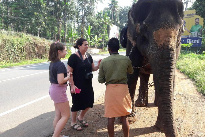 Private Tour to Kochi Suburbs Virgin Hot Spots: Free Pick & Drop - Final Thoughts