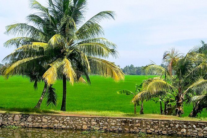 Private Tour to Kochi Suburbs Virgin Hot Spots: Free Pick & Drop - FAQ