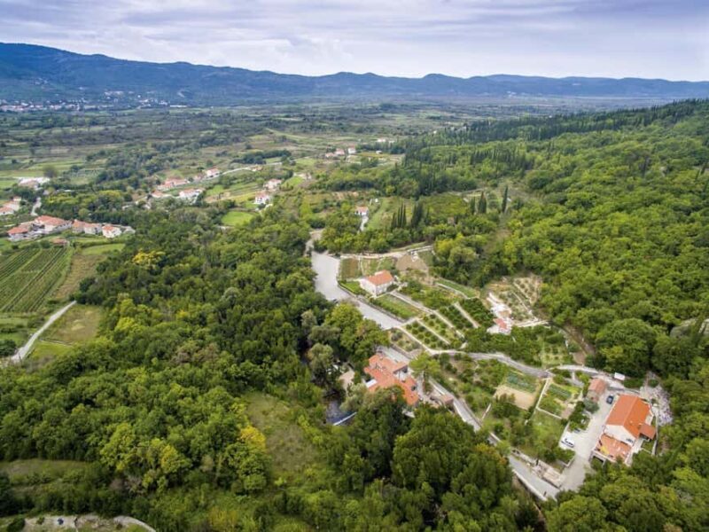 Private tour to Konavle valley with wine tasting - The Experience Through the Eyes of Past Travelers