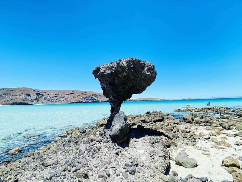 Private tour to La Paz, Balandra and Todos Santos from CABO - Who should consider this tour?