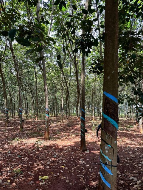 Private Tour To Long Tan Nui Dat Battle Field - FAQ