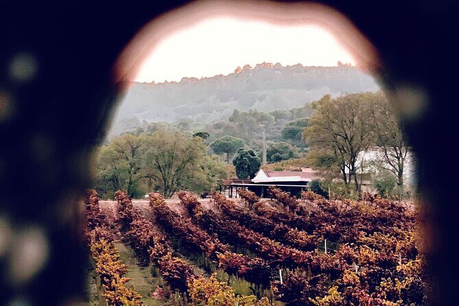 Private tour to marvelous Setúbal, the pearl of Sado - An In-Depth Look at the Setúbal Experience