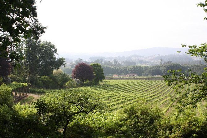 Private Tour to Melgaço and Monção, the heart of the Alvarinho region - Key Points