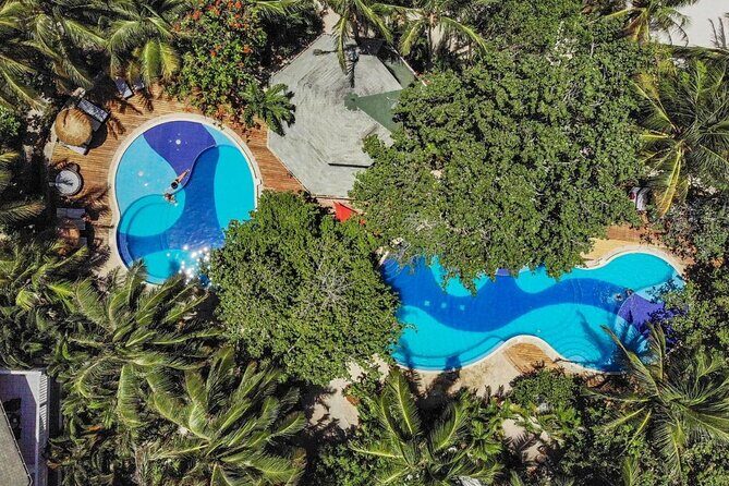 Private Tour to Monkey and Sloth Sanctuary with Optional Add-Ons and Stops - Key Points