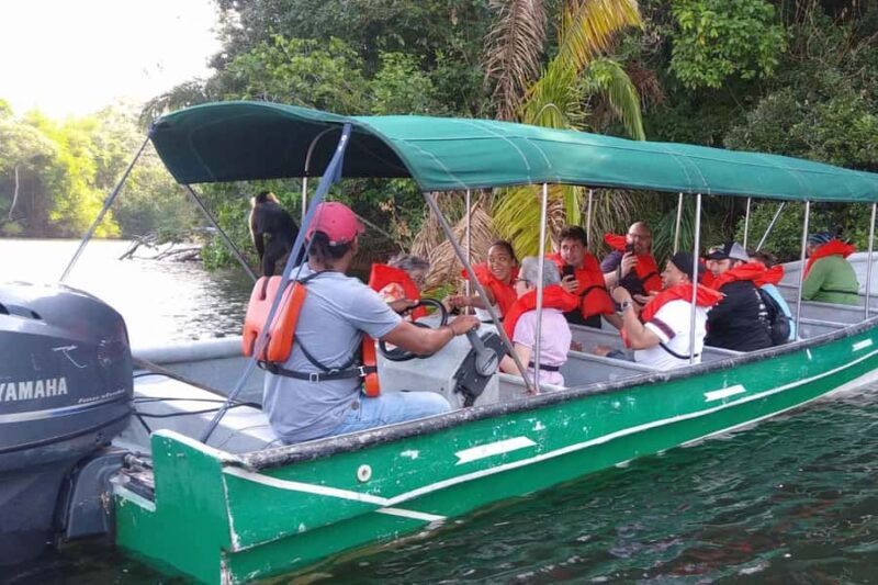 Private tour to Monkey Island - An In-Depth Look at the Amazon Day Tour
