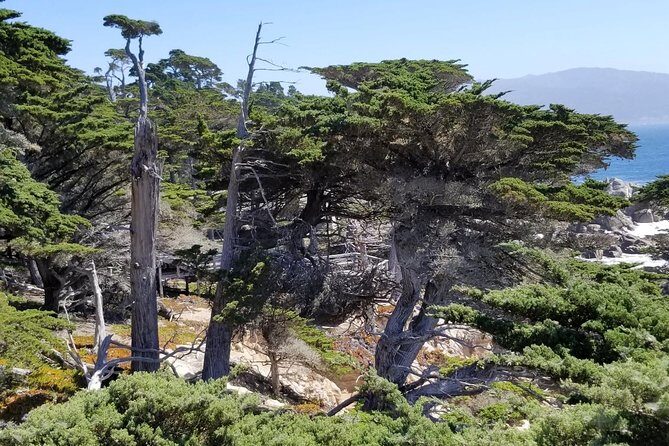 Private Tour to Monterey, Carmel, 17-Mile Drive, Pebble Beach - Key Points