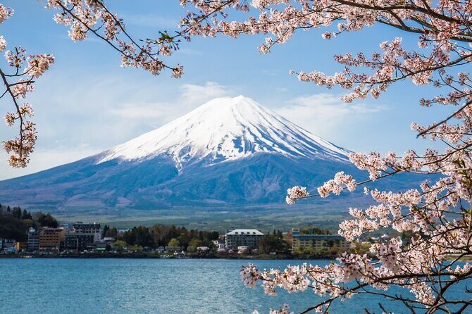 Private tour to Mount Fuji and Hakone from Tokyo - An In-Depth Look at the Tour Experience