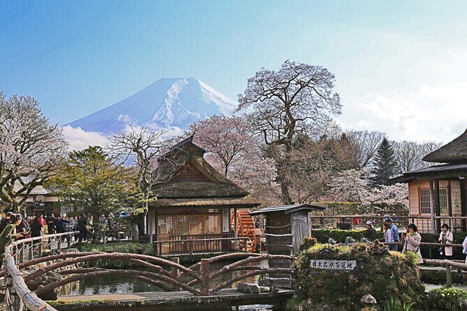 Private tour to Mount Fuji and Hakone from Tokyo - What Travelers Are Saying