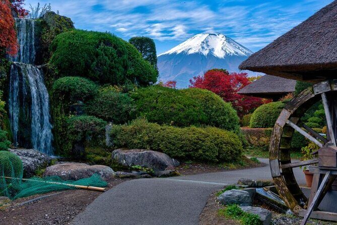 Private tour to Mount Fuji with an English driver from Tokyo - What’s Included and What’s Not