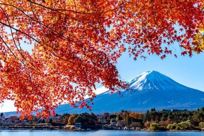 Private tour to Mount Fuji with an English driver from Tokyo - Who Should Consider This Tour?