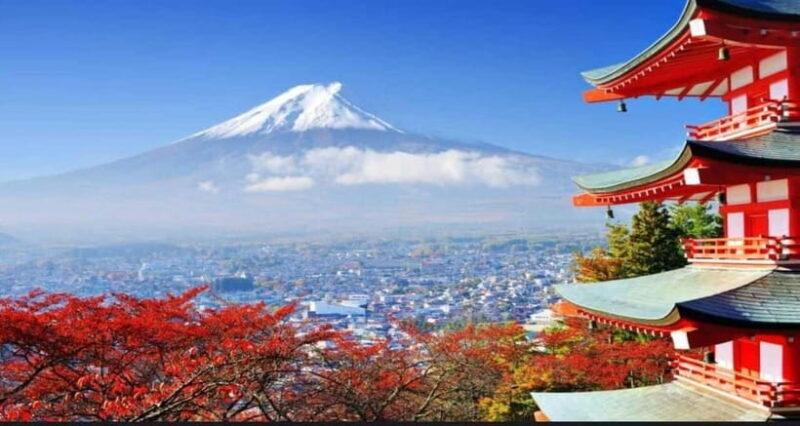 Private Tour to Mt Fuji and Hakone with English Driver - A Personal Take on the Private Mt. Fuji and Hakone Tour